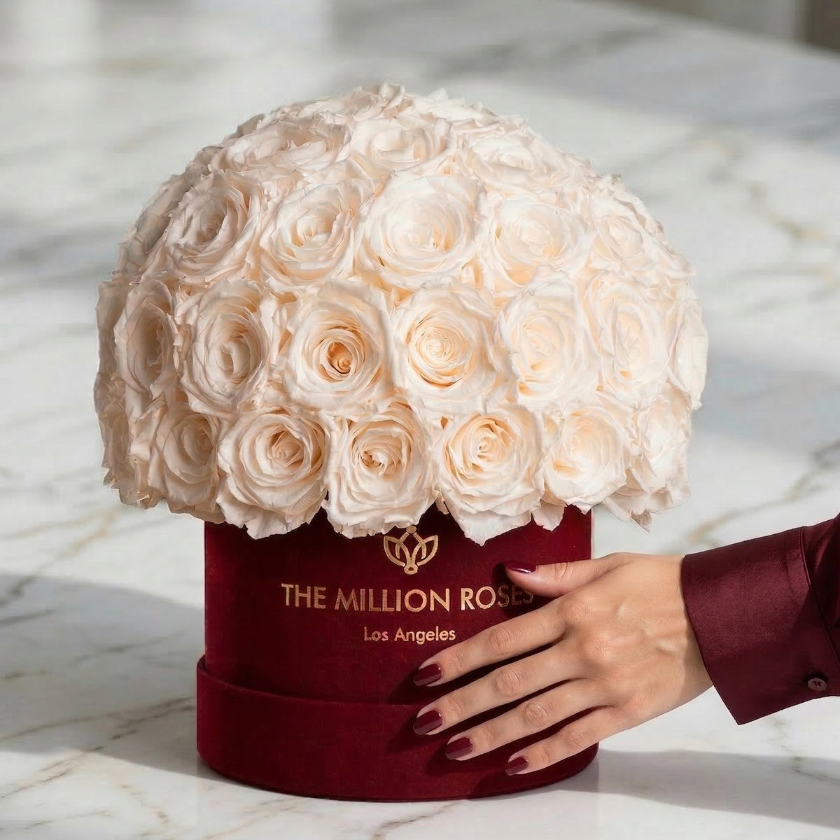 Classic Bordeaux Suede Superdome Box | White Roses