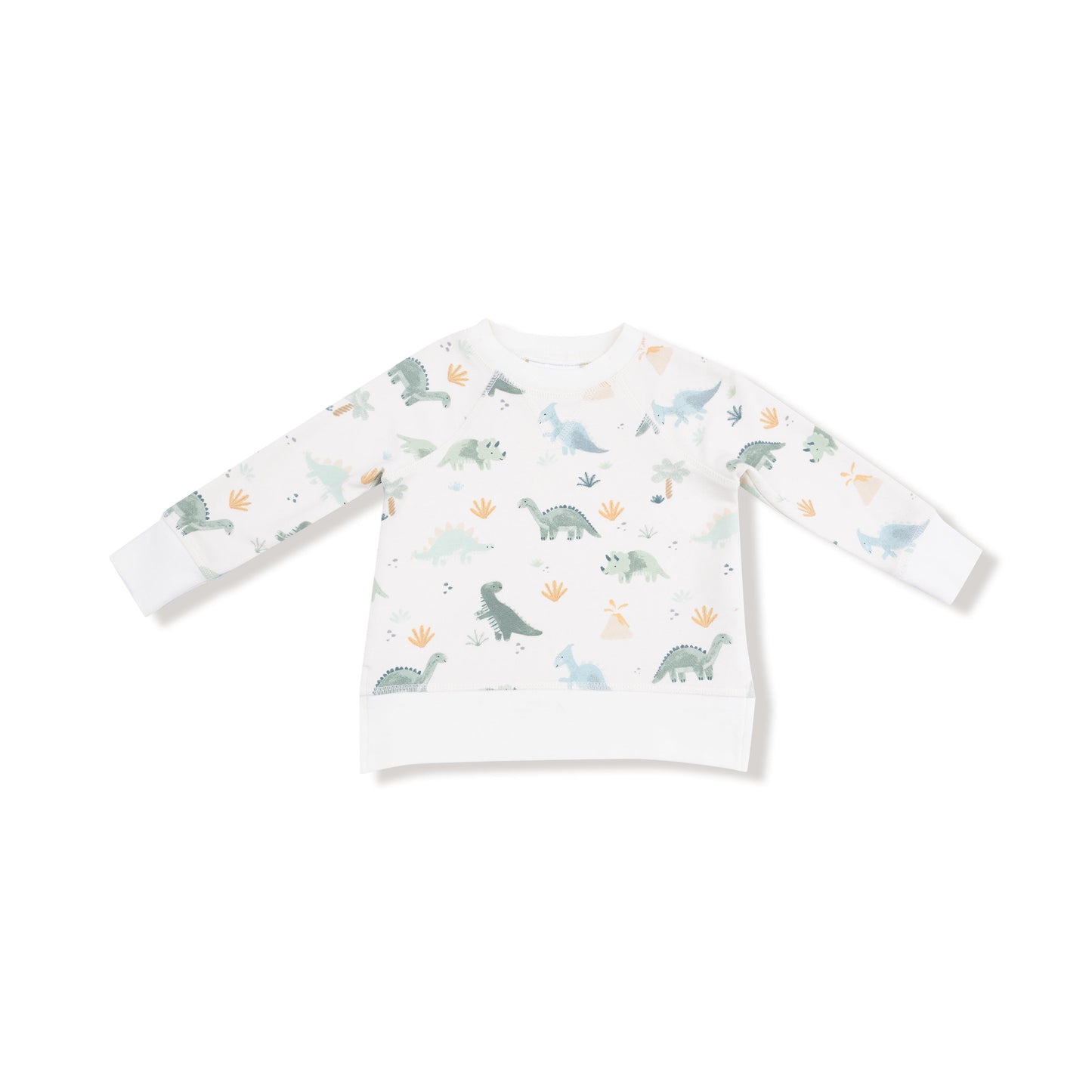 Soft Dinos - Green - Raglan Sweatshirt + Jogger Set