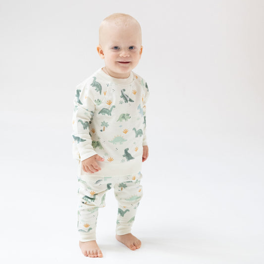 Soft Dinos - Green - Raglan Sweatshirt + Jogger Set