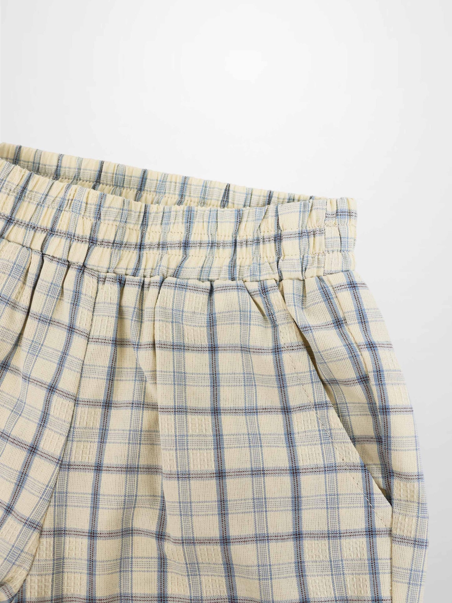 Plaid Shorts