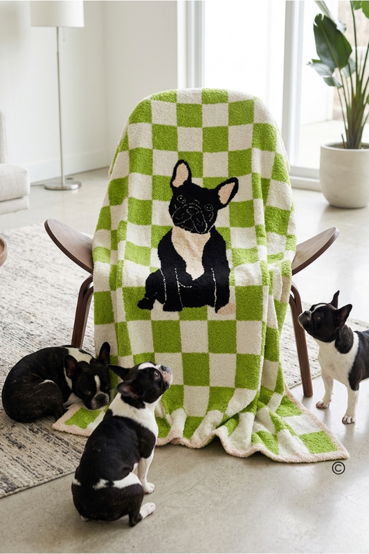 SC - ETA 6/30 - Walter Wiggles Check Blanket©