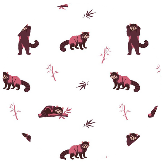 Red Panda | Short Sleeve Bodysuit
