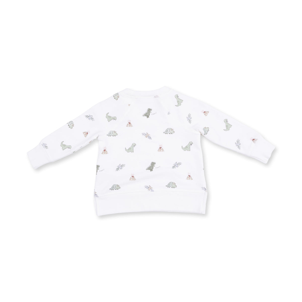 Dinos - Raglan Sweatshirt