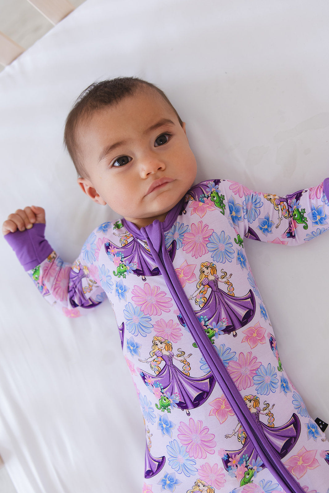 The Lost Princess - Zippy