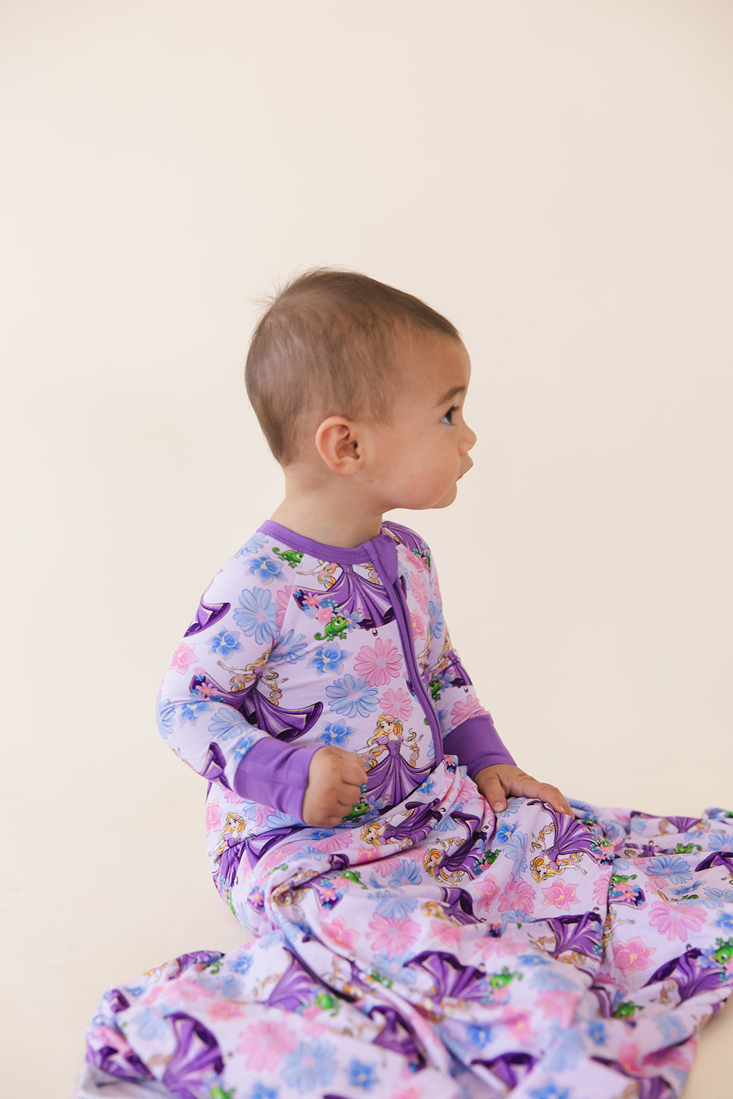 The Lost Princess - Zippy