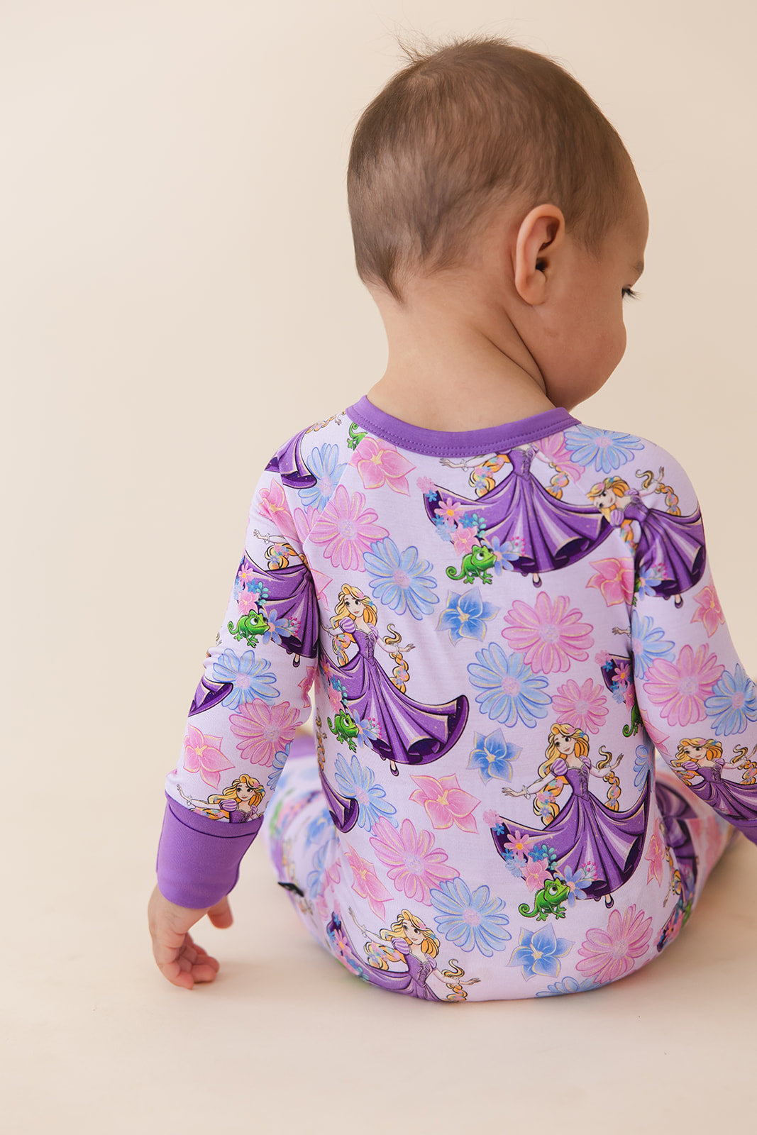 The Lost Princess - Zippy