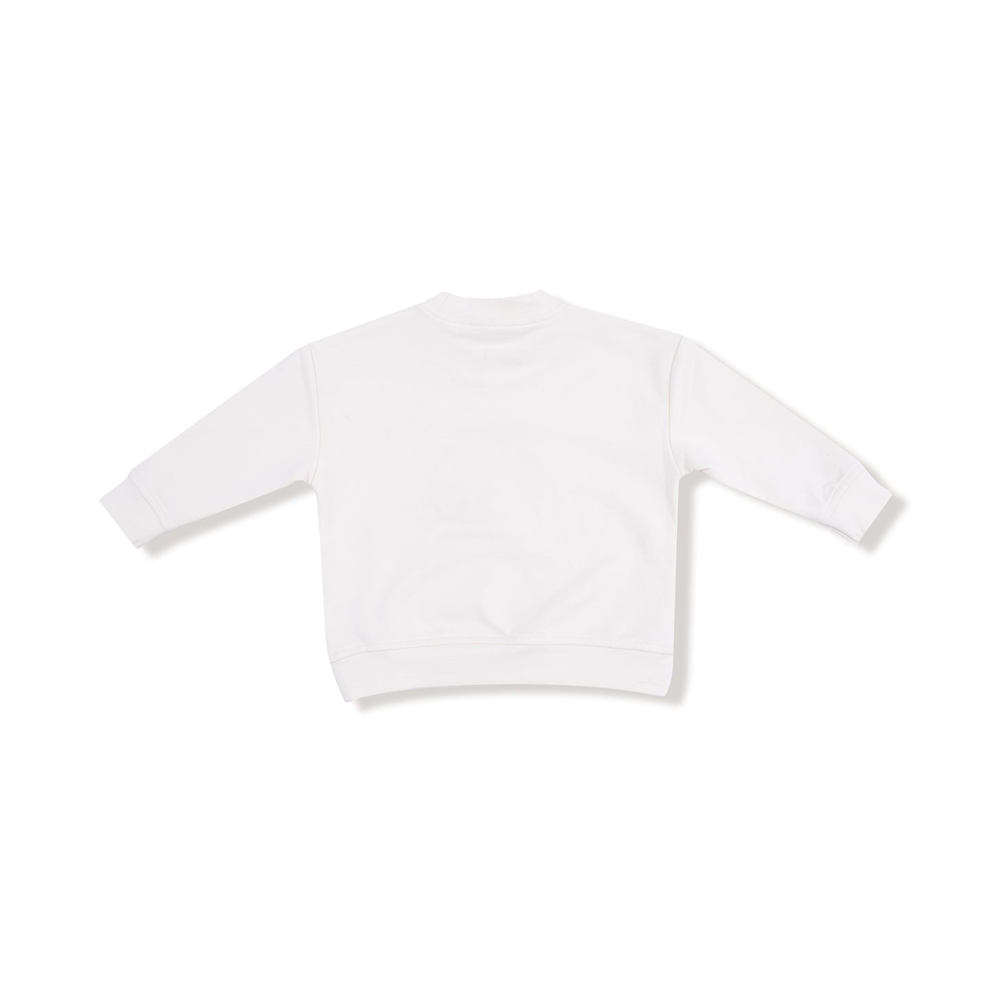 Halloween Tutus and Tops - Little Pumpkin Drop Sleeve Sweatshirt