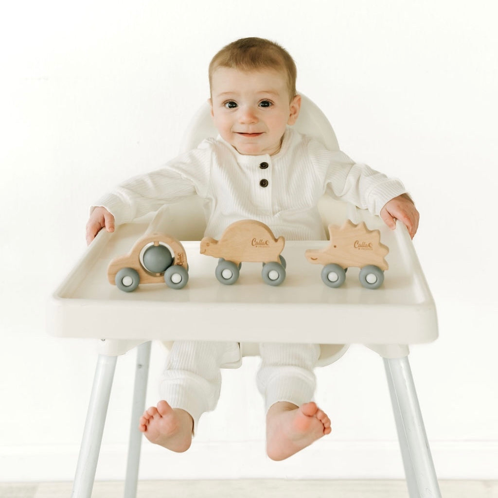 Beechwood Rollin’ Friends - Hedgehog