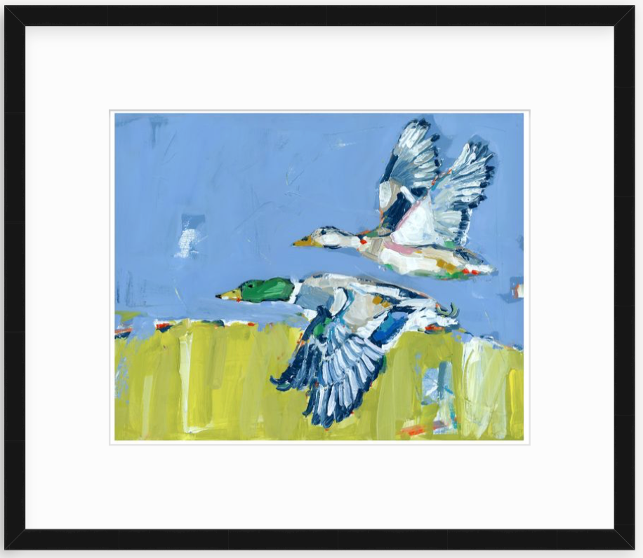Duck Krausing Mallard Ducks Fine Art Print