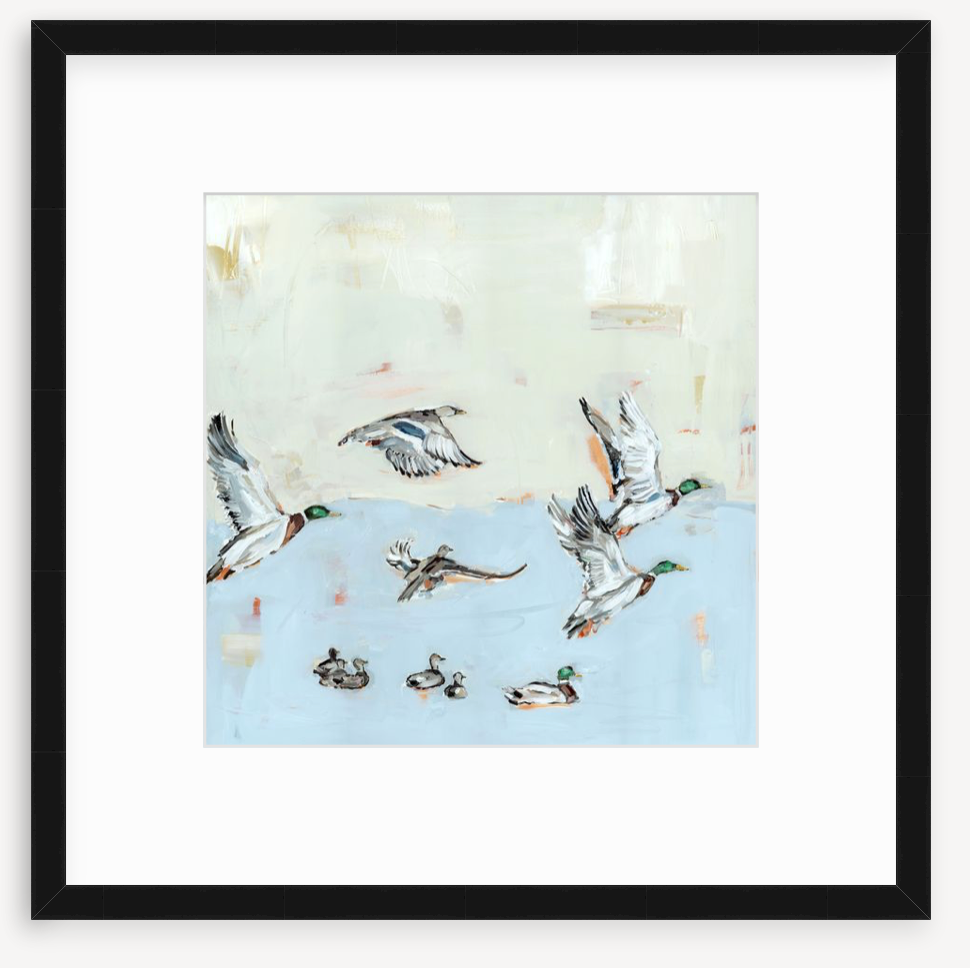 Taking Off Mallard Ducks Fine Art Print