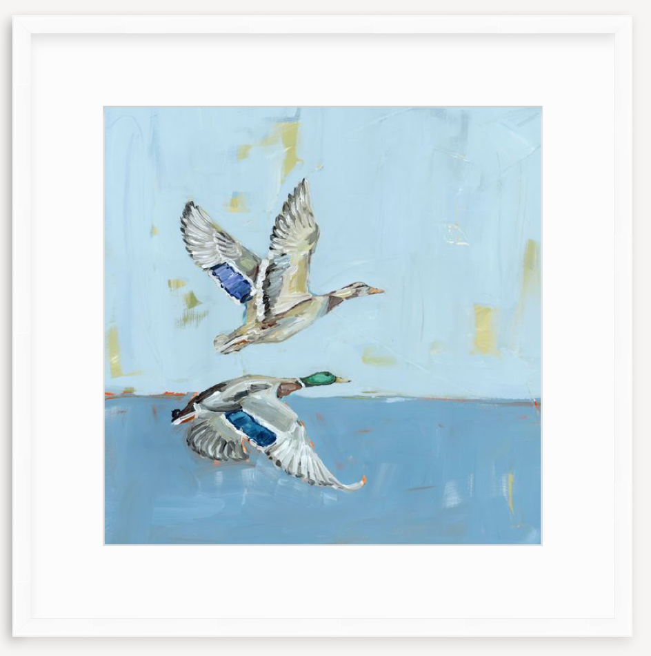 Soaring High Ducks Fine Art Print