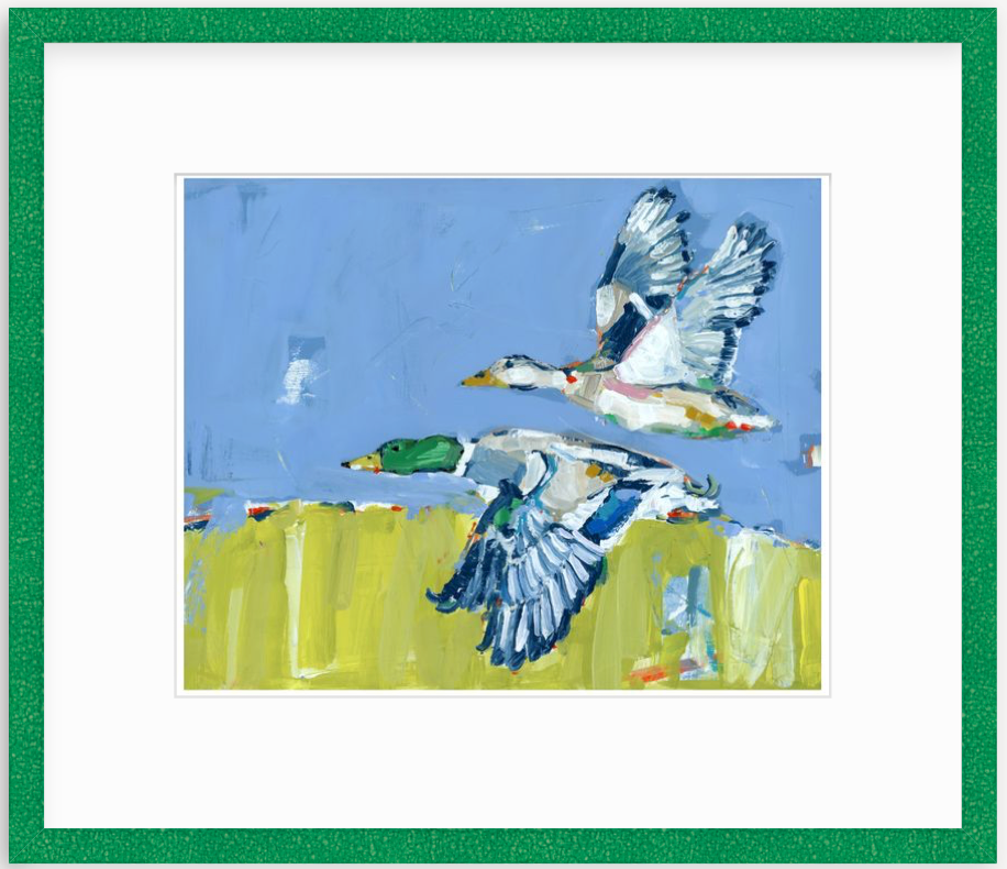 Duck Krausing Mallard Ducks Fine Art Print