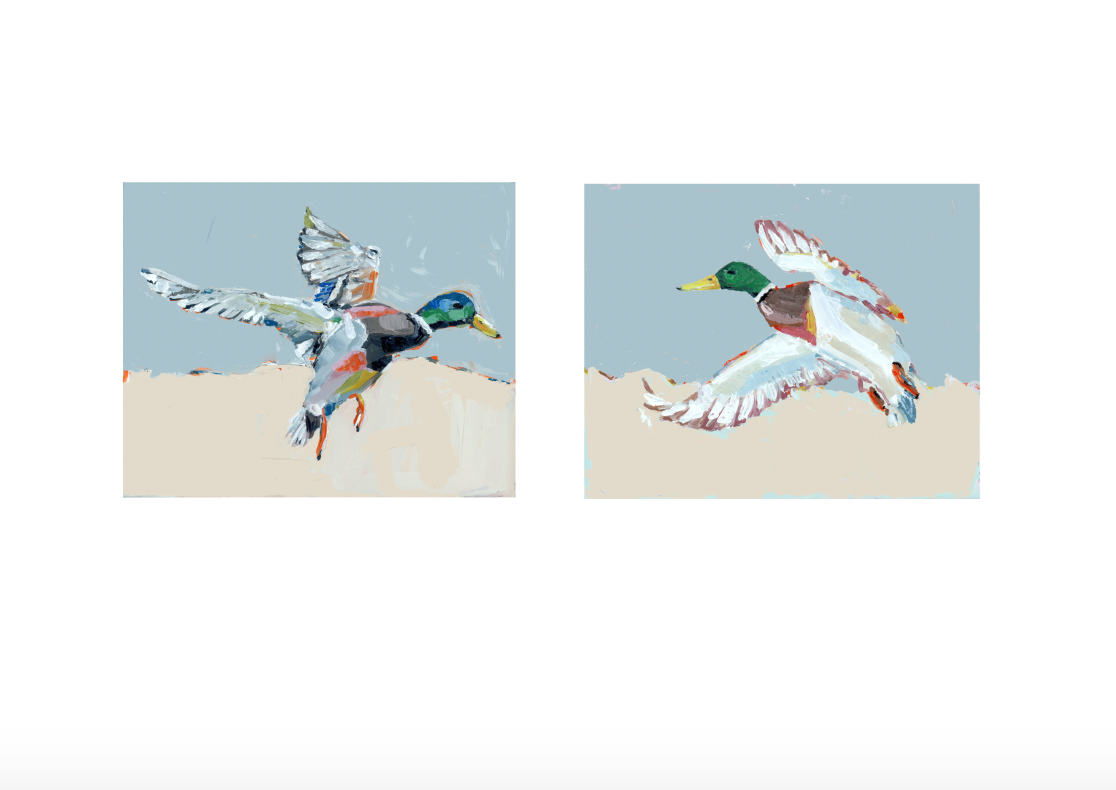 Take Flight Mallard Duck Fine Art Prints