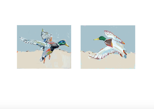 Take Flight Mallard Duck Fine Art Prints