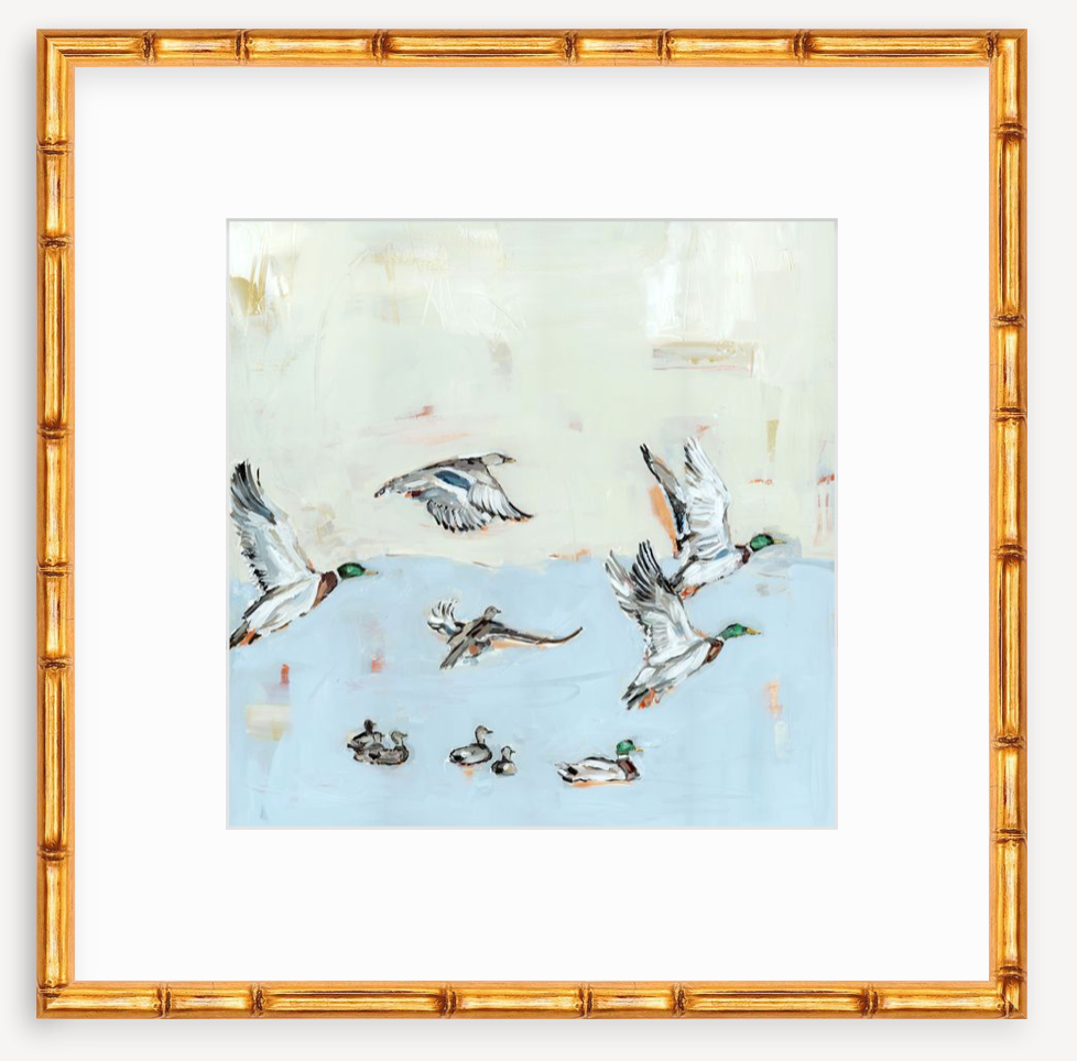 Taking Off Mallard Ducks Fine Art Print