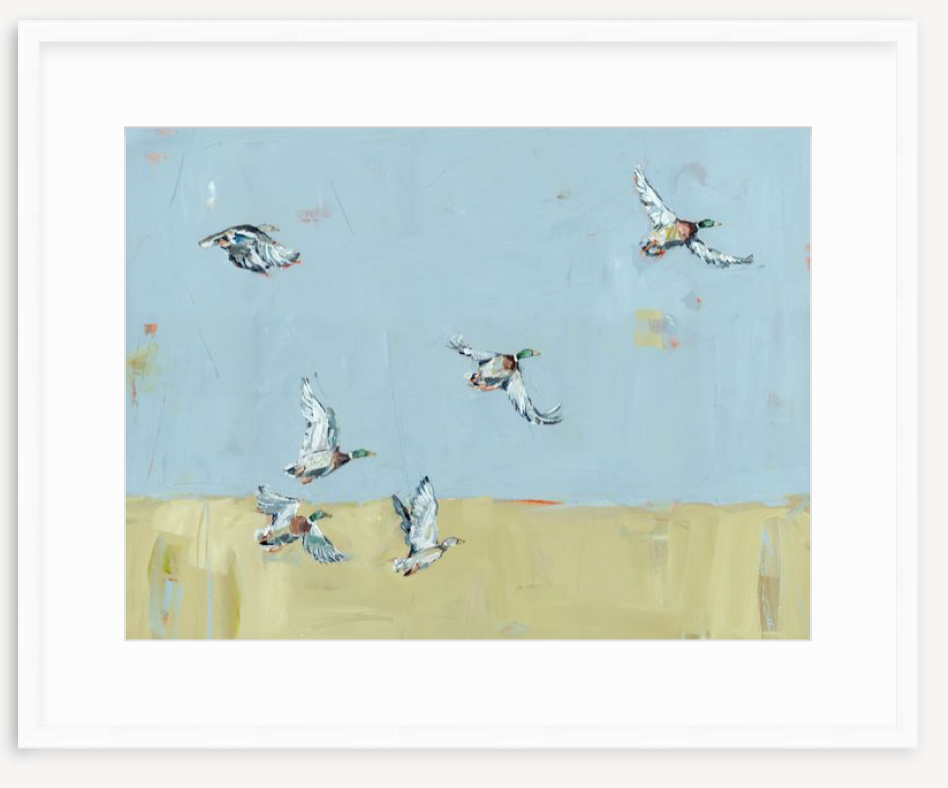 Here We Go Again Ducks Fine Art Print
