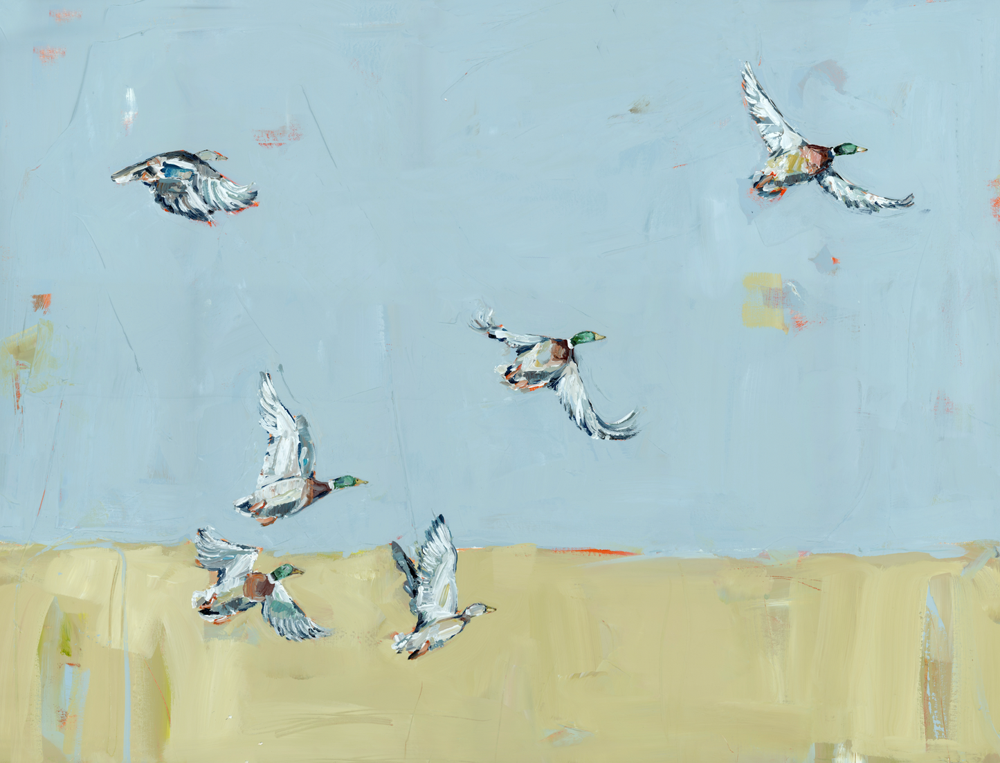 Here We Go Again Ducks Fine Art Print
