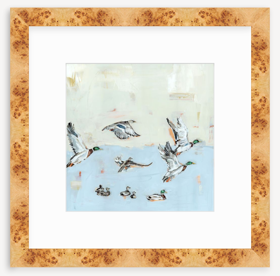 Taking Off Mallard Ducks Fine Art Print