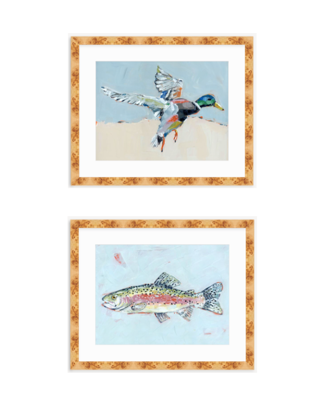 Shore Searching Mallard And Fish Fine Art Print