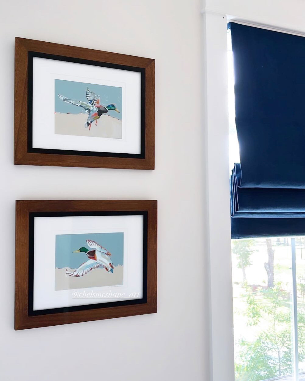 Take Flight Mallard Duck Fine Art Prints