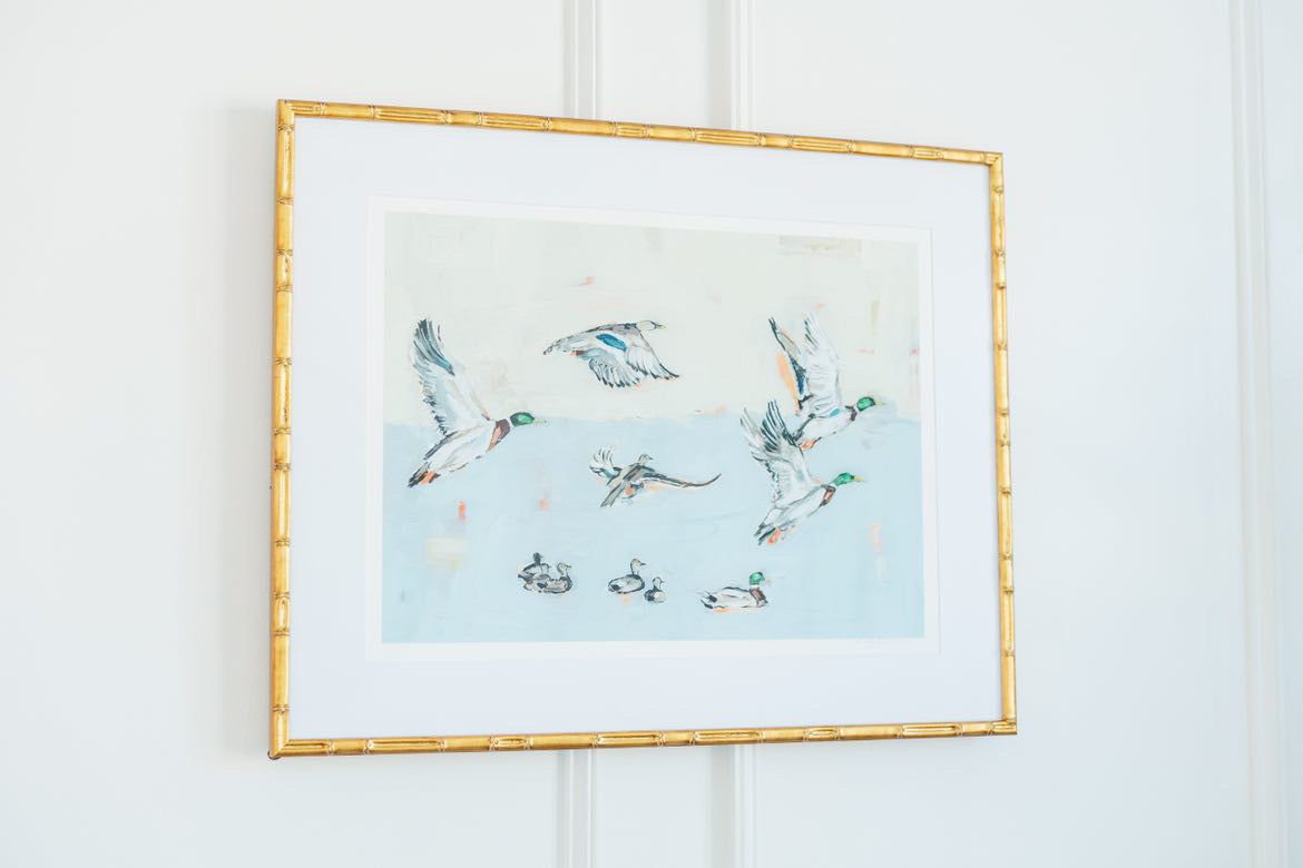 Taking Off Mallard Ducks Fine Art Print