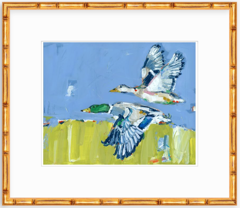 Duck Krausing Mallard Ducks Fine Art Print