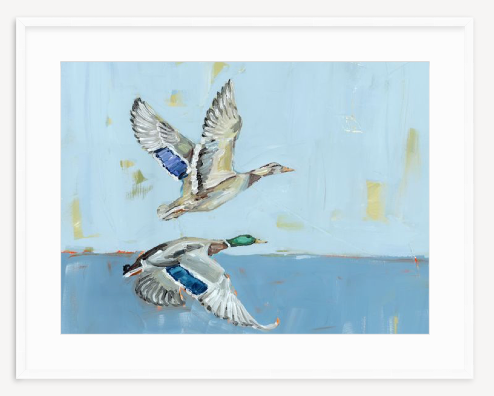 Soaring High Ducks Fine Art Print