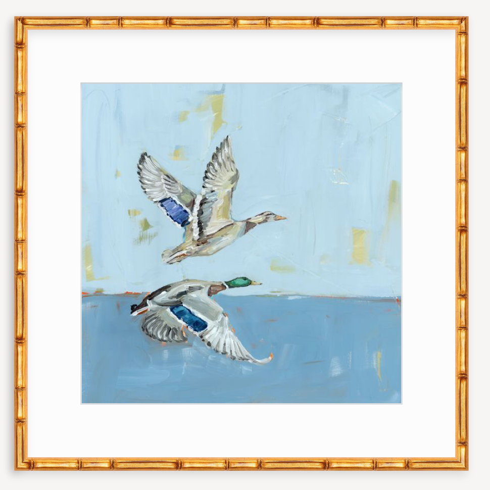 Soaring High Ducks Fine Art Print