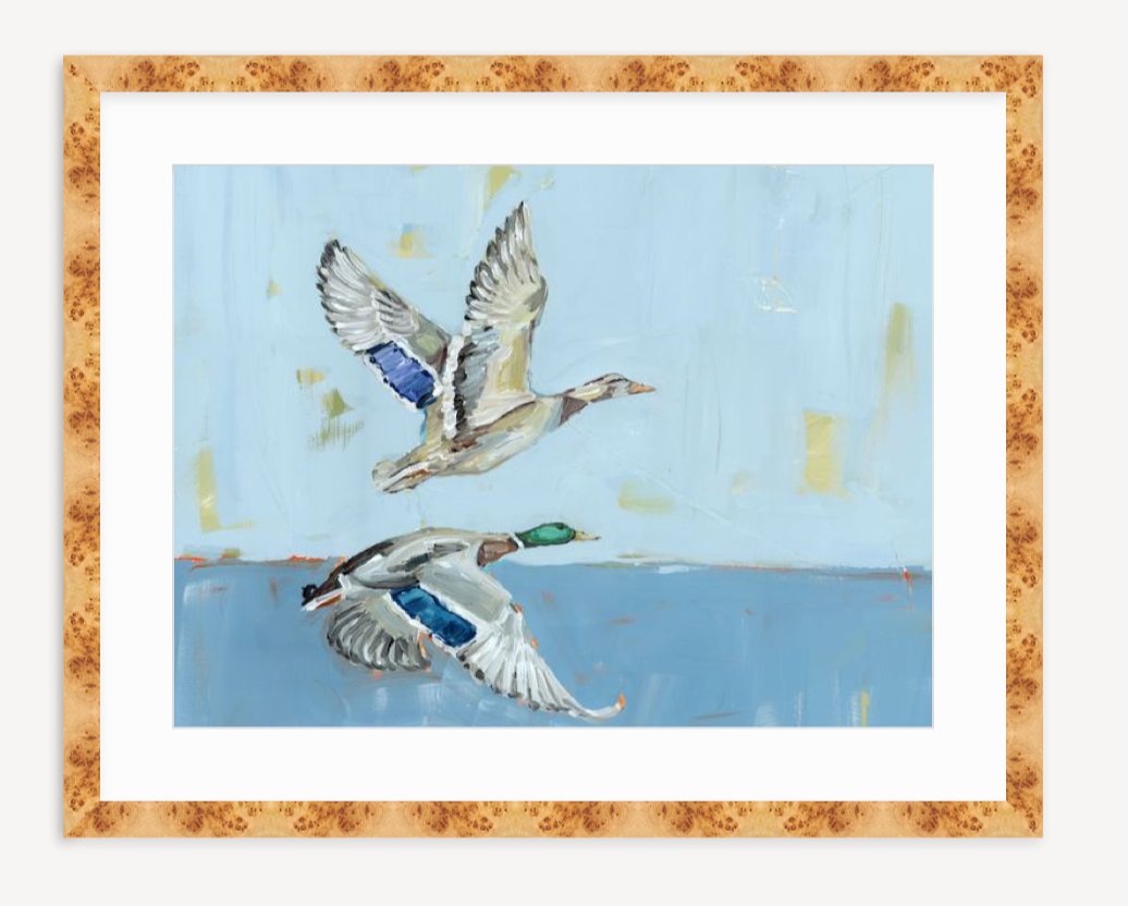 Soaring High Ducks Fine Art Print