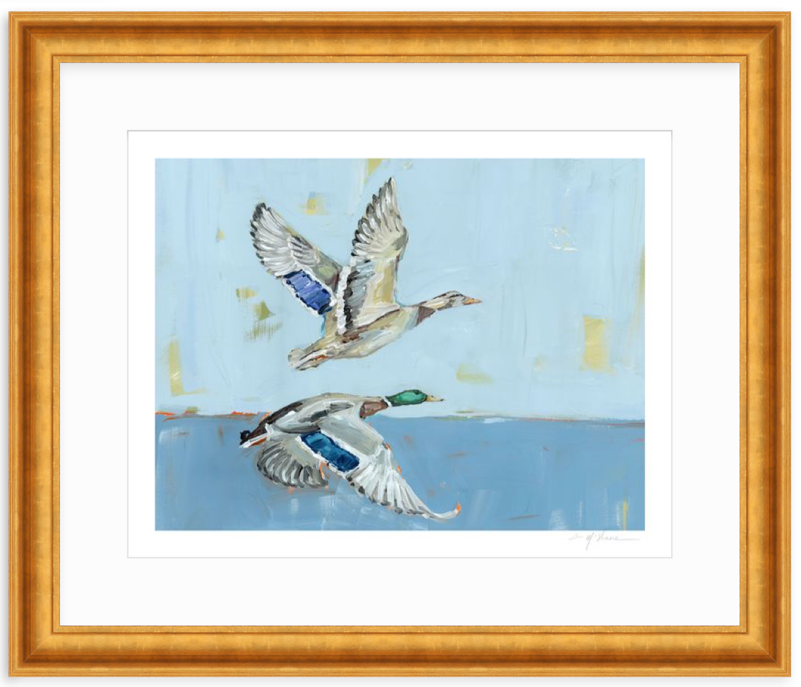 Soaring High Ducks Fine Art Print