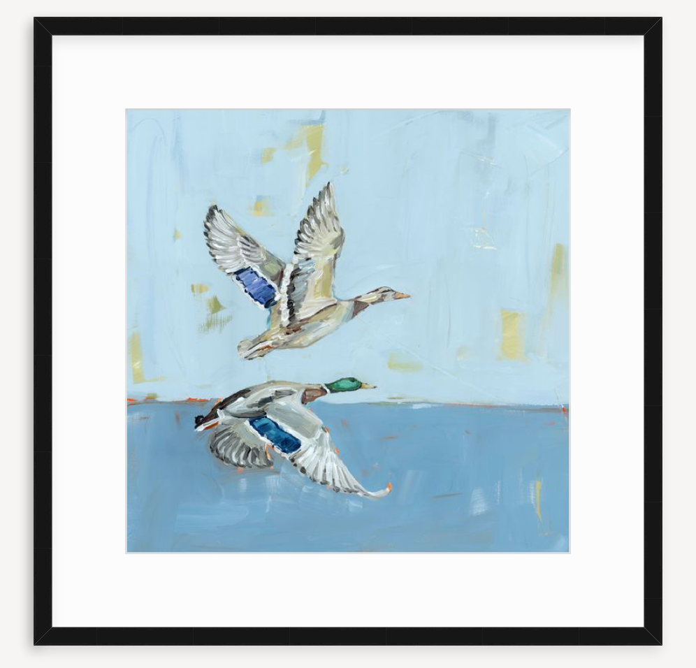 Soaring High Ducks Fine Art Print