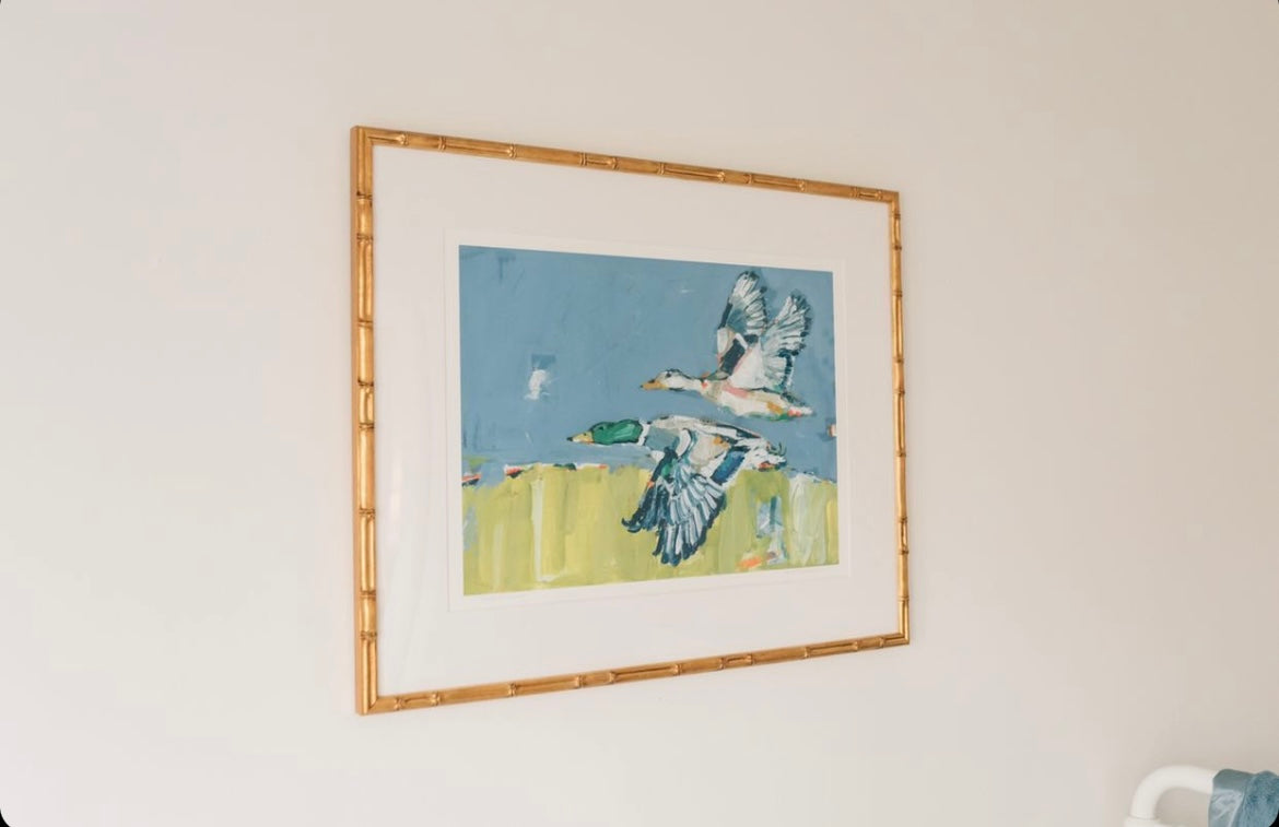 Duck Krausing Mallard Ducks Fine Art Print
