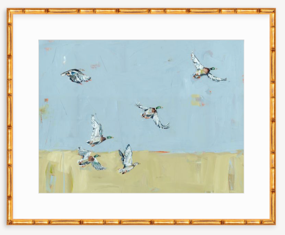 Here We Go Again Ducks Fine Art Print
