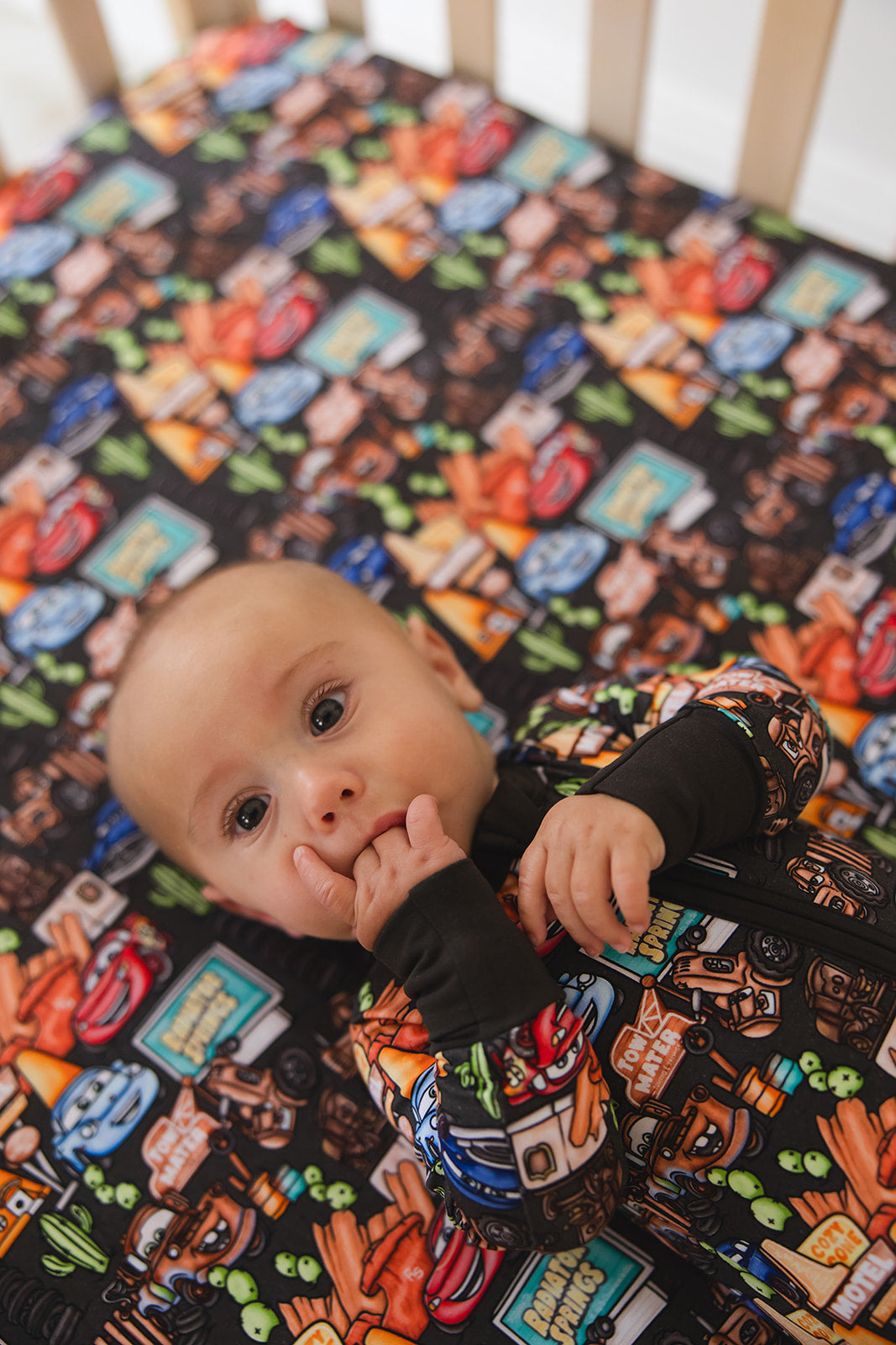 Cozy Cone Adventures - Zippy