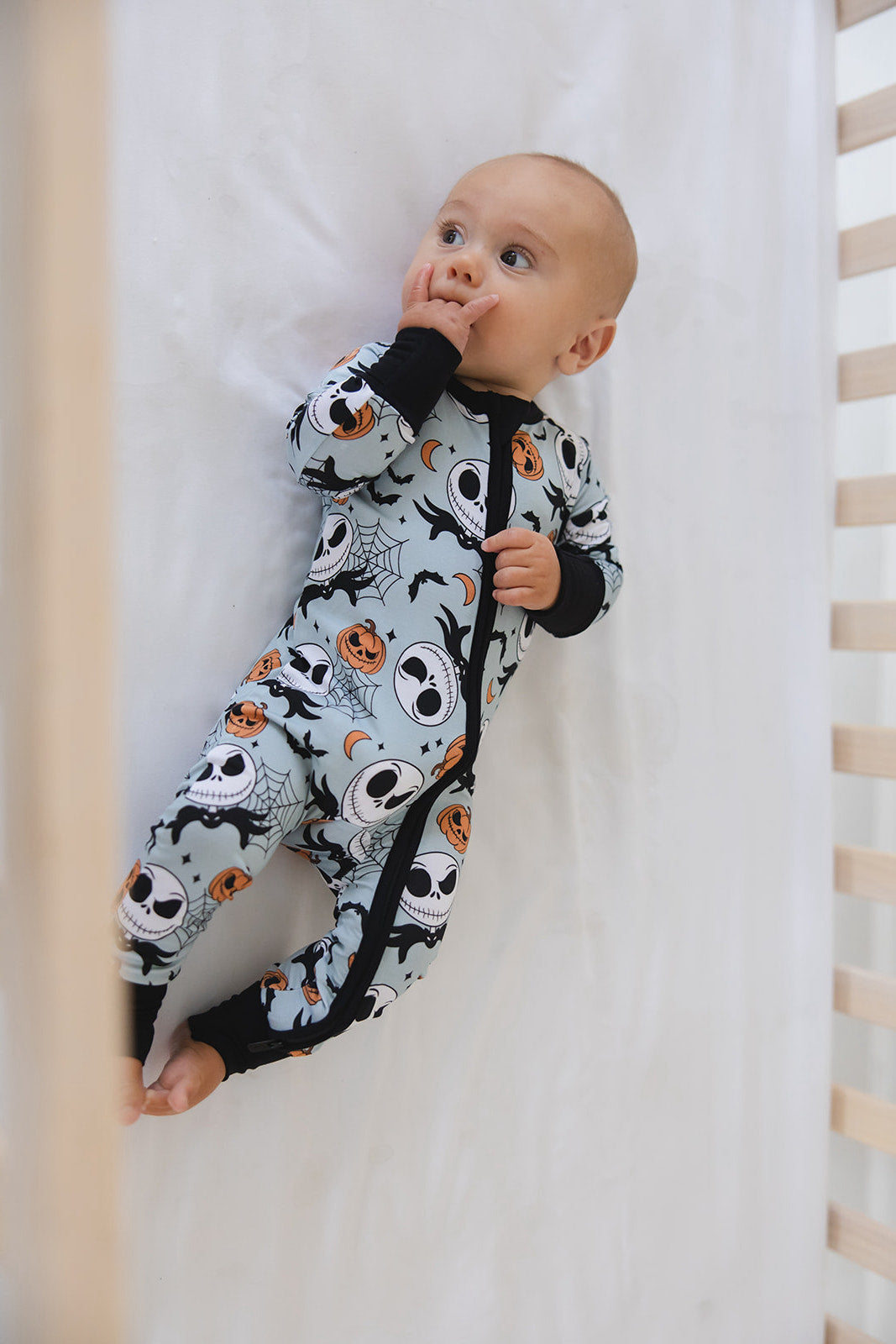 Pumpkin King - Zippy