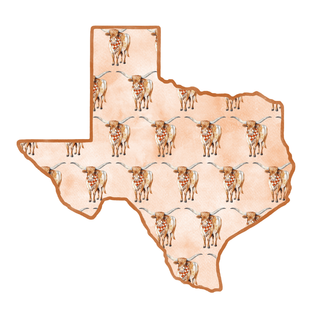Longhorn Patterned Door Hanger