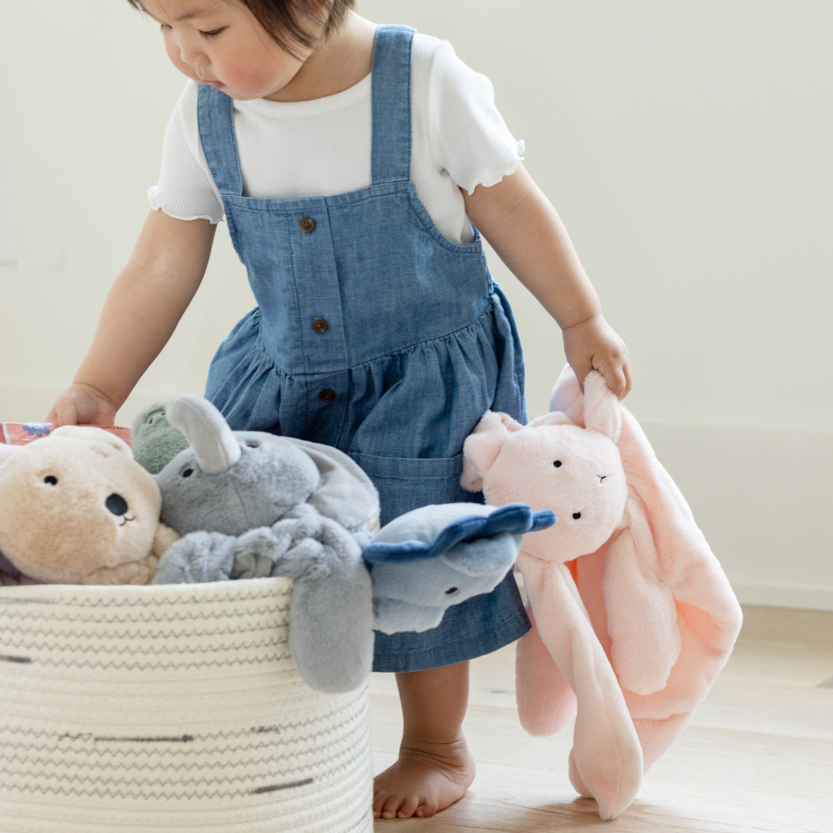 Big Buddy Evie the Elephant
