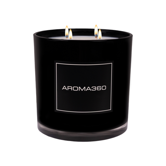 Midnight in Paris 4-Wick Candle