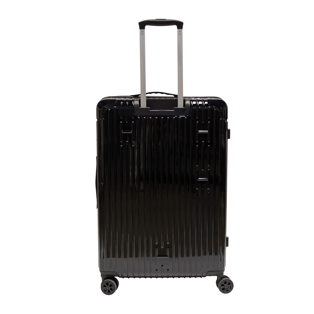 Check-In Luggage