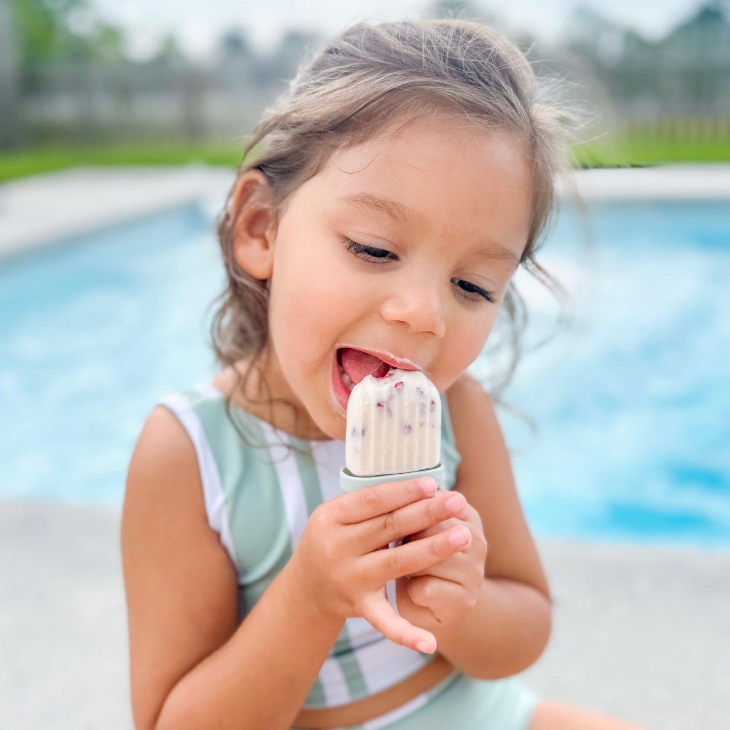Sunny Pops Popsicle Molds