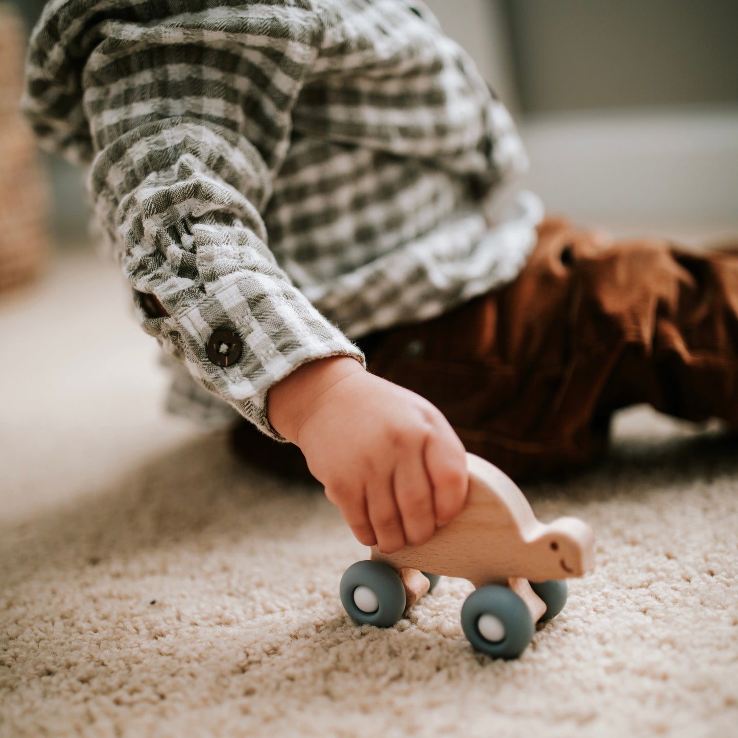 Beechwood Rollin’ Friends - Turtle