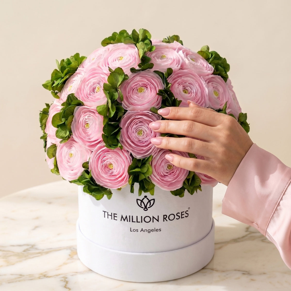 Classic White Box | Light Pink Persian Buttercups & Green Hydrangeas