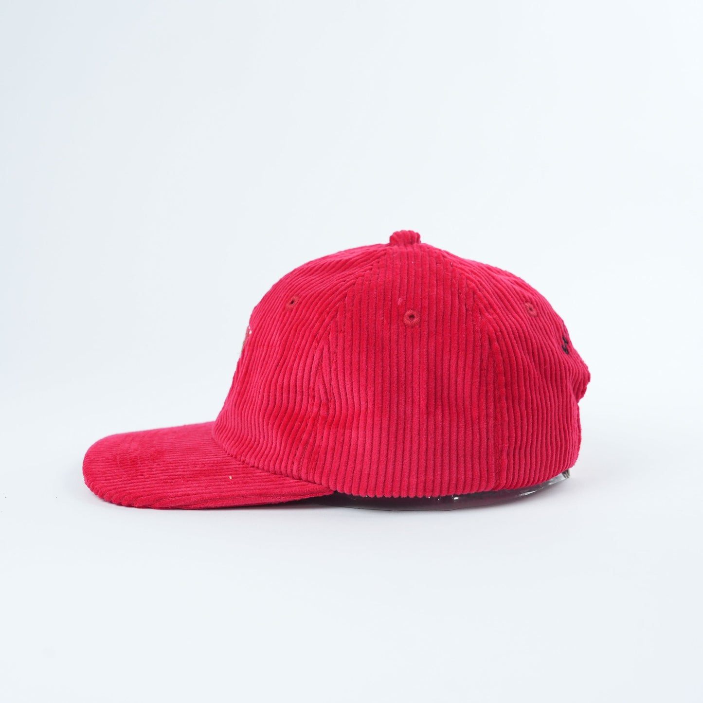 Adult Catsicle Corduroy Hat