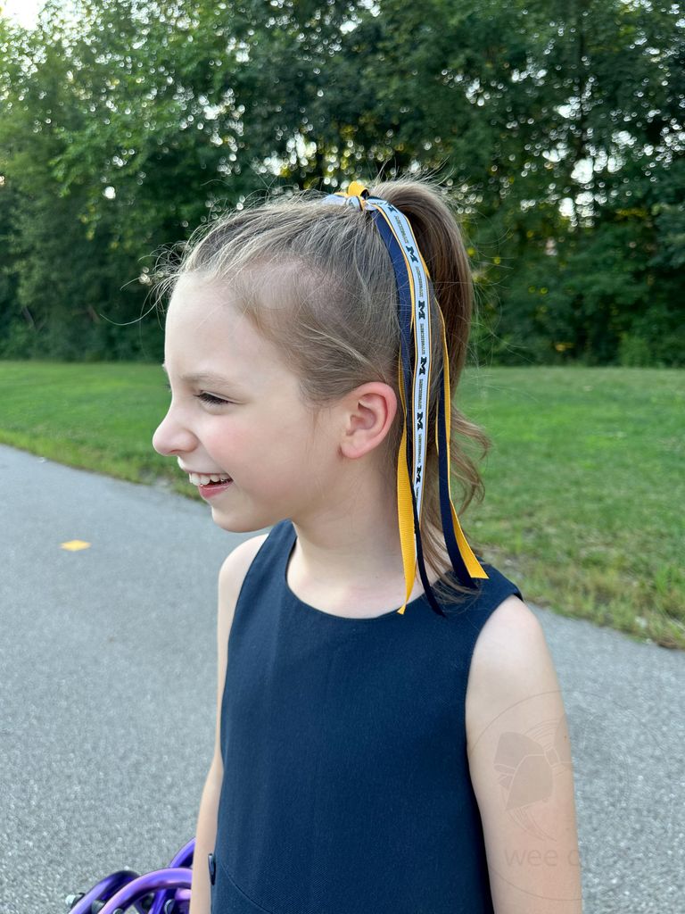 LSU Tigers Purple & Gold Logo Streamer Ponytail Hair Tie – Wee Ones