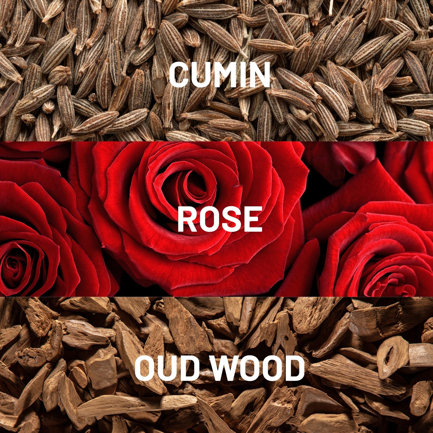 Desert Rose™