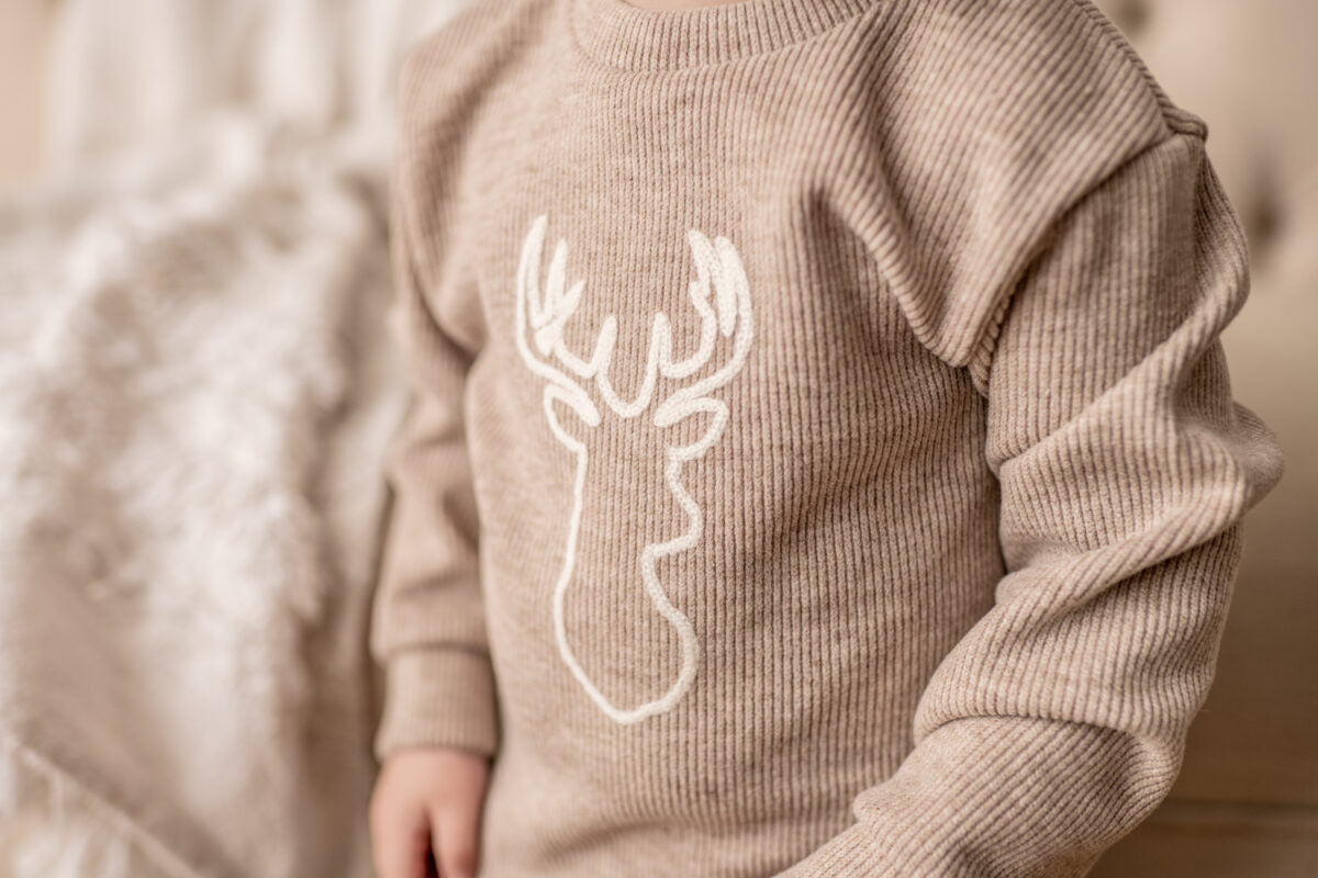 Deer Embroidery Bubble & Sweater