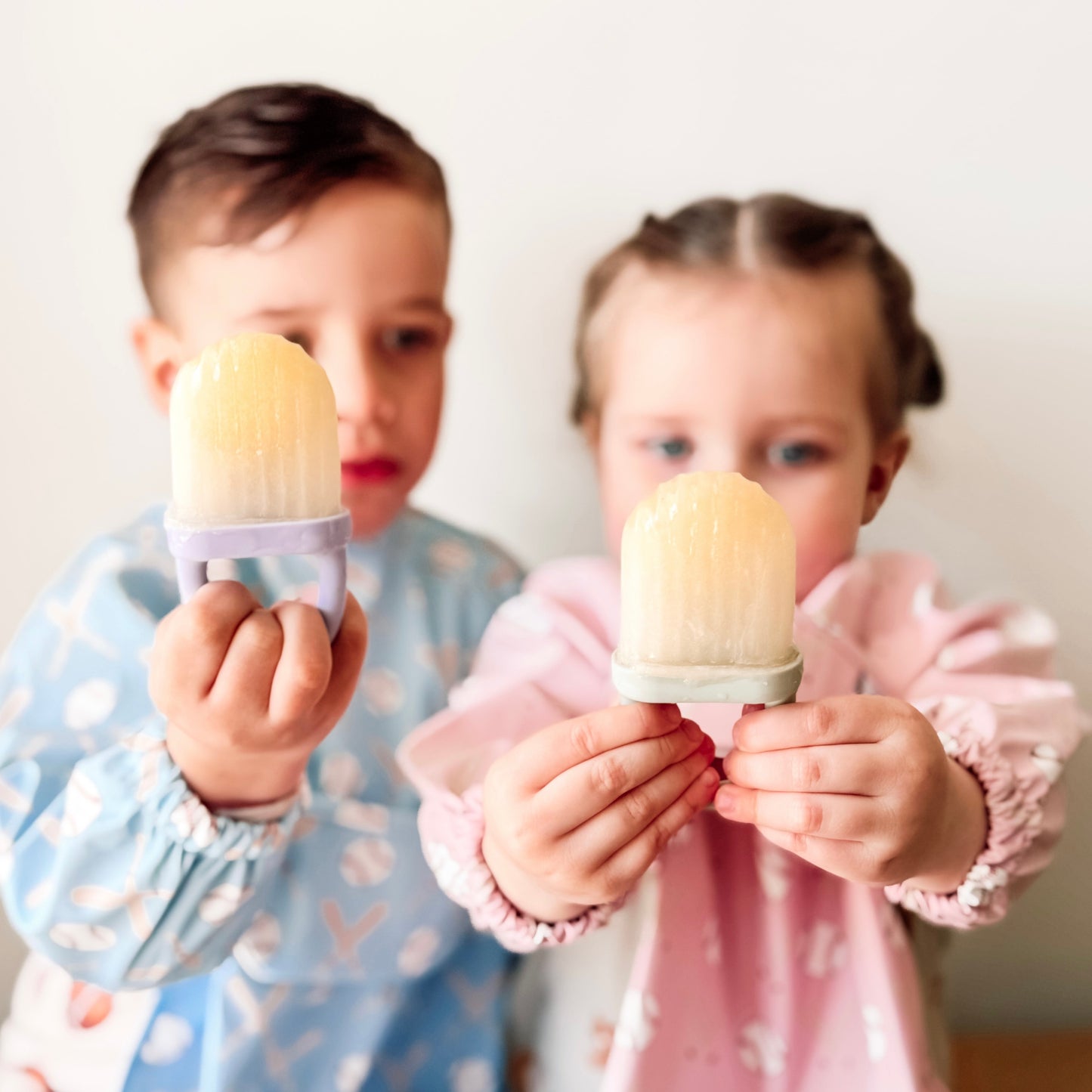 Sunny Pops Popsicle Molds
