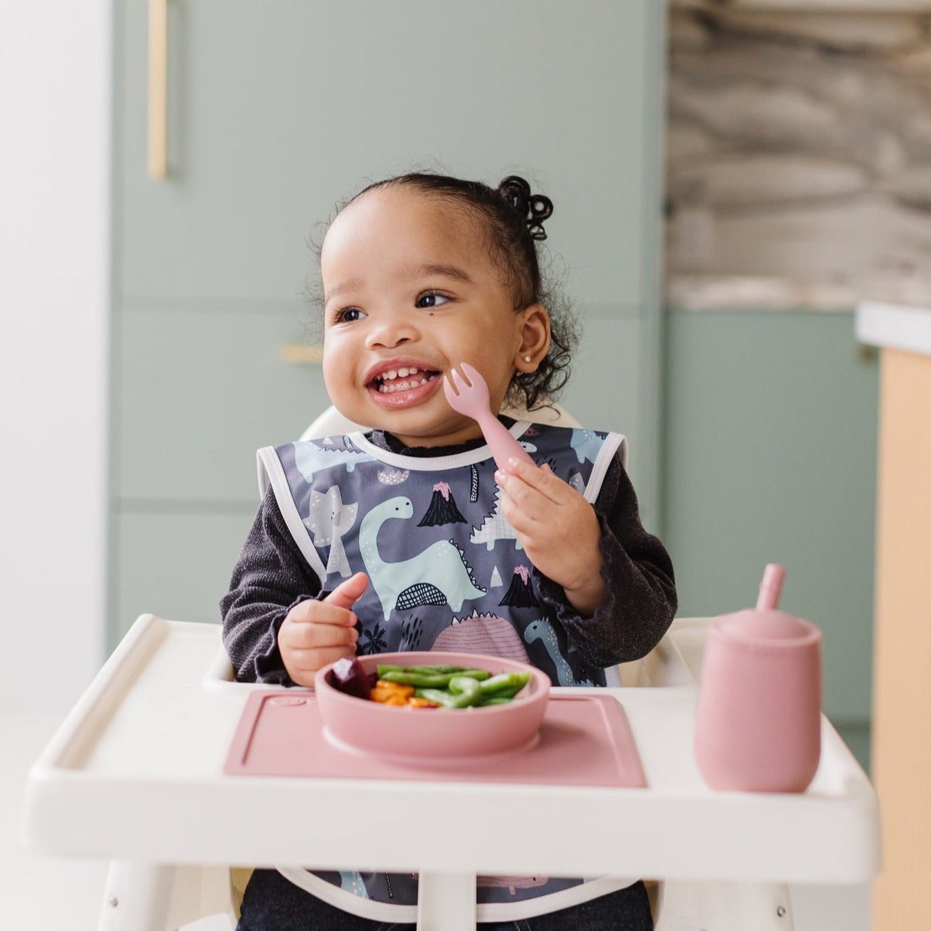 Dinosaur Drawing Bapron