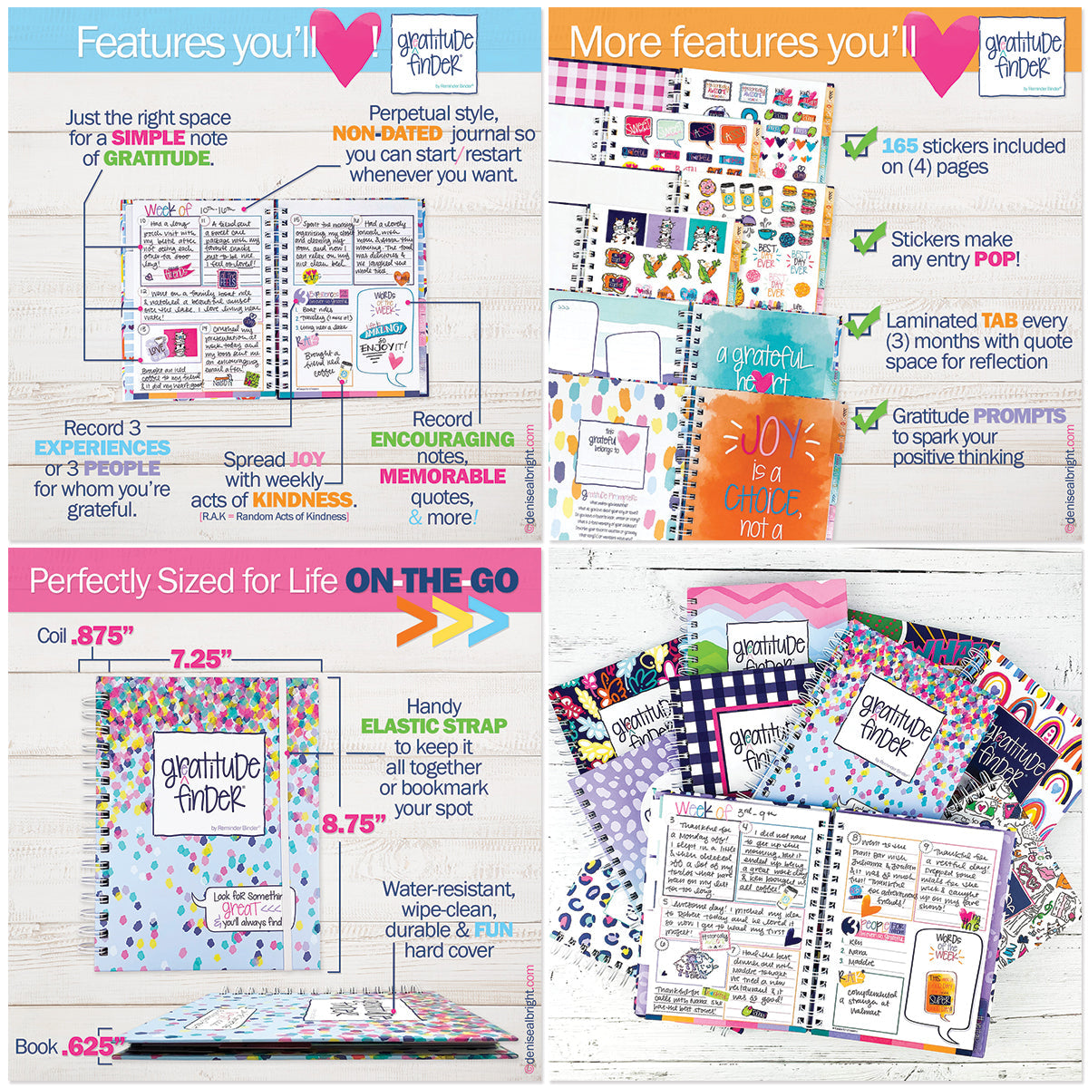 NEW! Dream Gift Bundle | 2027-28 Reminder Binder® Planner, Gratitude Journal & Budget Binder