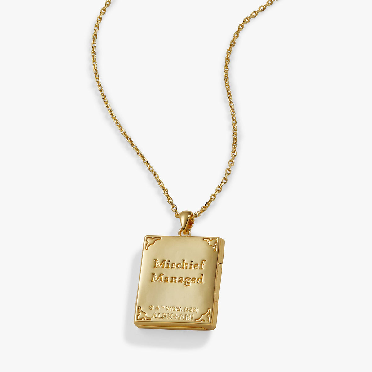 Harry Potter™ Mischief Managed Locket Necklace